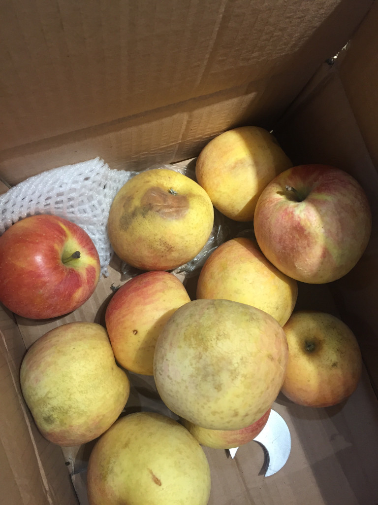 糟糕的一次购物,总共才几个苹果,坏的占一