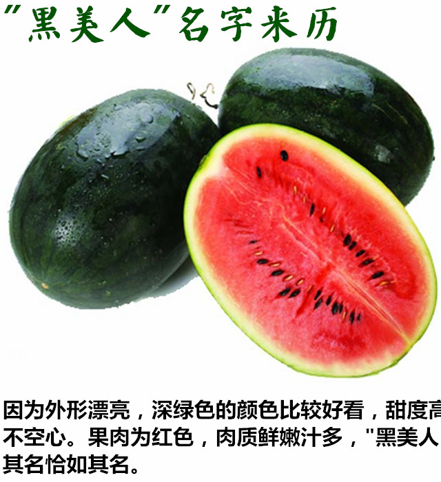 异国风情的女子-越南"黑美人"西瓜