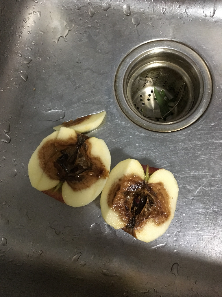 请问苹果烂了怎么办?外表看只是坑坑洼洼