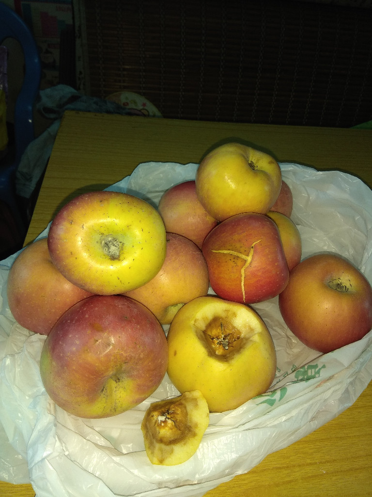 商家给我发的苹果是烂苹果,要求退货,一直