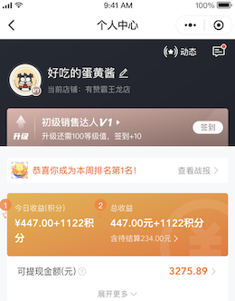 积分查看-分销员汇总.png